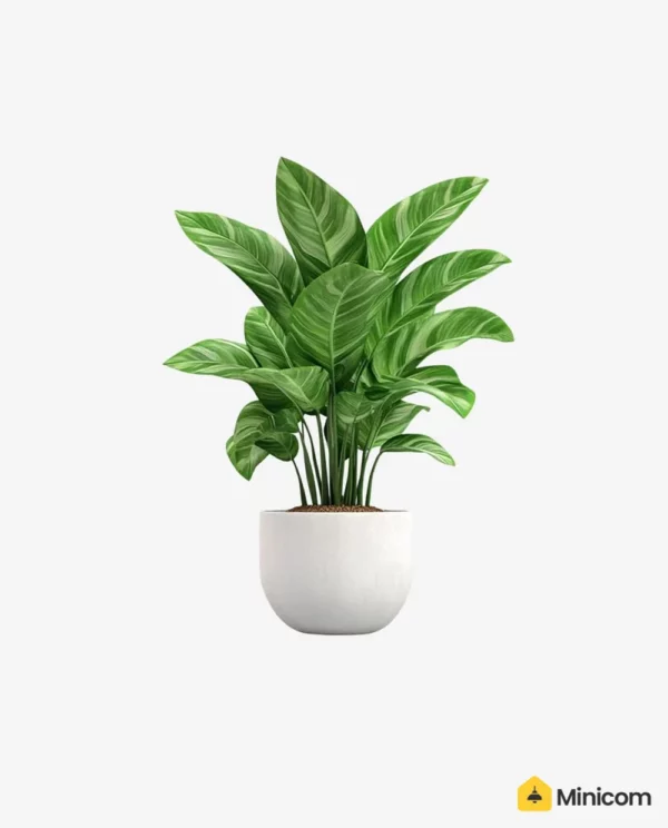 1-min – واترمارک